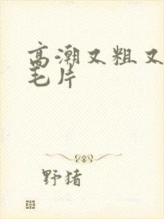 高潮又粗又爽的毛片封面