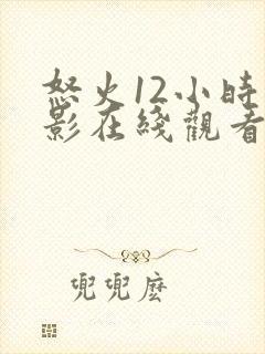 怒火12小时电影在线观看高清