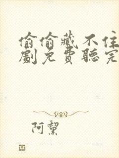 偷偷藏不住广播剧免费听完整版