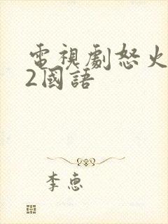 电视剧怒火街头2国语