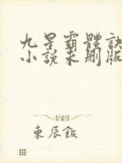 九星霸体诀龙尘小说未删版下载txt