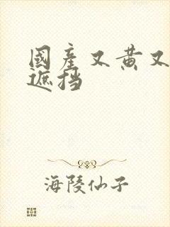 国产又黄又色无遮挡