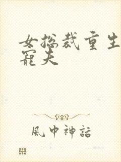 女总裁重生悔过宠夫封面