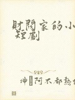 财阀家的小儿子 短剧
