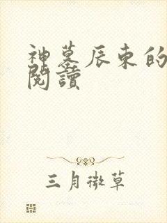 神墓辰东的免费阅读封面