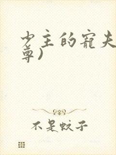 少主的宠夫(女尊)封面