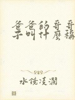 爸爸的哥哥的妻子叫什么称呼