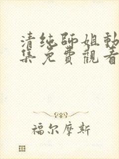 清纯师姐动漫全集免费观看完整版高