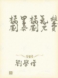 橘里橘气双女主剧泰剧免费观看