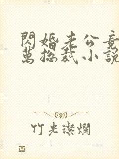 闪婚老公竟是亿万总裁小说