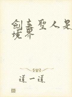 剑来圣人是什么境界