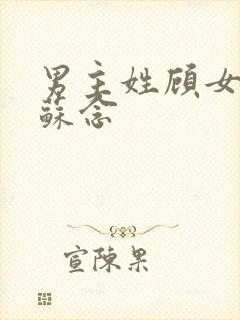 男主姓顾女主叫苏念