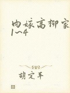 肉嫁高柳家动漫1~4封面