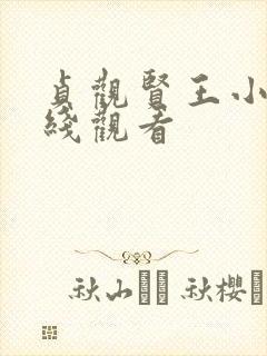 贞观贤王小说在线观看封面