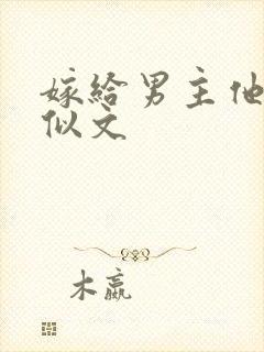 嫁给男主他爹类似文