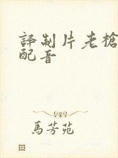 译制片老枪国语配音