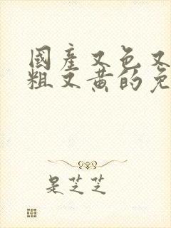 国产又色又爽又粗又黄的免费网站