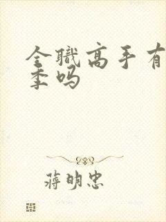 全职高手有第二季吗