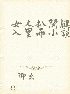 女人扒开腿被插入里面小说封面