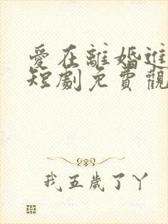 爱在离婚进行时短剧免费观看全集