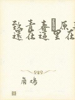 致青春·原来你还在这里在线播放