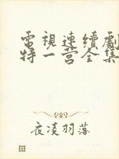 电视连续剧我的特一营全集完整版封面