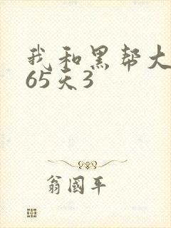 我和黑帮大佬365天3