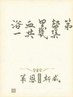 浴血黑帮第一季一共几集