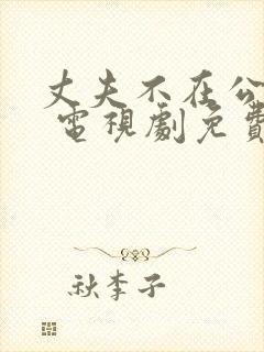 丈夫不在公迫我 电视剧免费观看