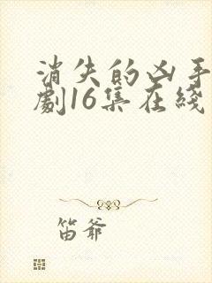 消失的凶手电视剧16集在线观看