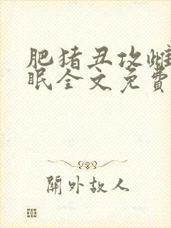 肥猪丑攻雌堕催眠全文免费阅读