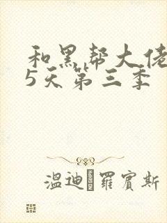 和黑帮大佬365天第三季封面