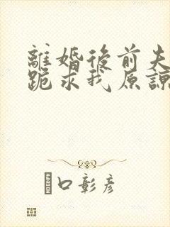 离婚后前夫全家跪求我原谅短剧全集封面