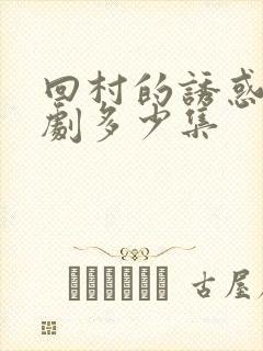 回村的诱惑电视剧多少集封面