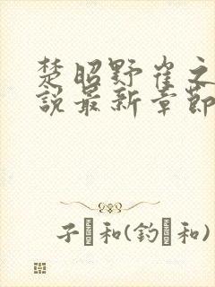 楚昭野崔之棠小说最新章节更新内容