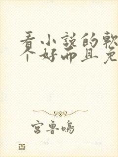 看小说的软件哪个好而且免费无广告