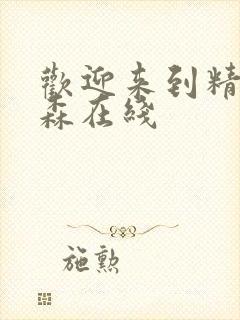 欢迎来到精灵之森在线封面