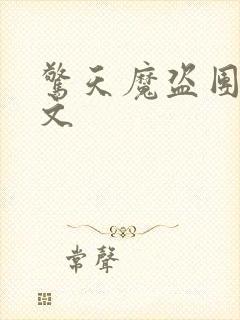 惊天魔盗团2中文