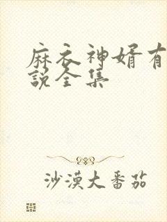 麻衣神婿有声小说全集