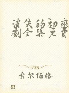 消失的初恋电视剧全集免费观看