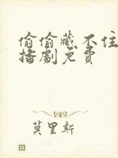 偷偷藏不住 广播剧免费