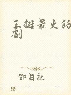 王挺最火的十部剧封面