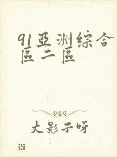 91亚洲综合一区二区