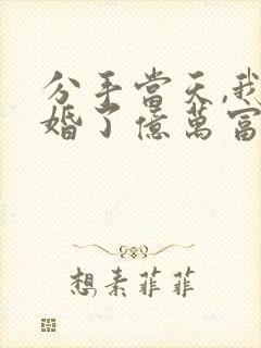 分手当天,我闪婚了亿万富豪