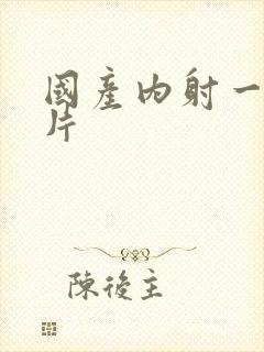 国产内射一级一片