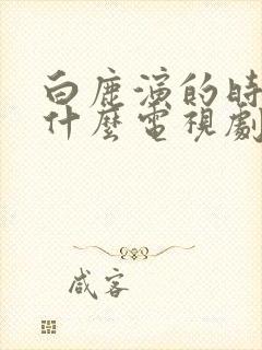 白鹿演的时宜是什么电视剧