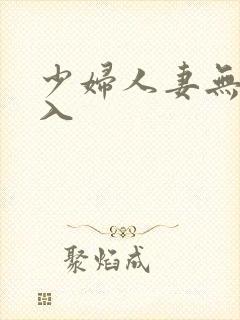 少妇人妻无套进入
