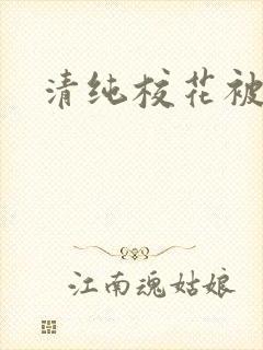 清纯校花被封面