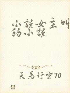 小说女主叫林妍的小说