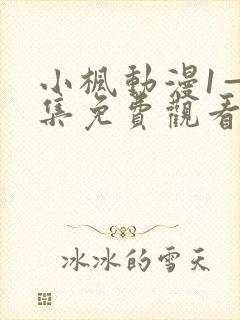 小枫动漫1—4集免费观看